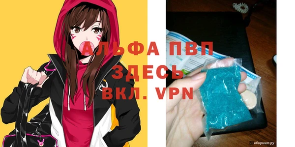 прущие грибы Балахна
