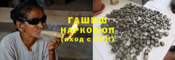прущие грибы Балахна