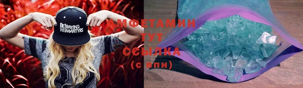 прущие грибы Балахна