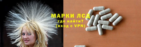 прущие грибы Балахна