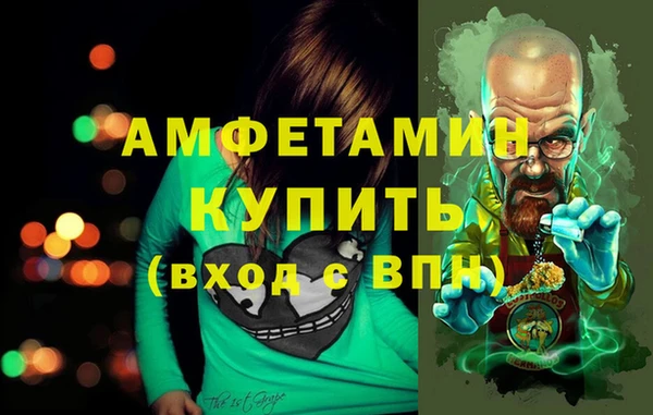 прущие грибы Балахна