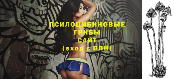 спайс Баксан