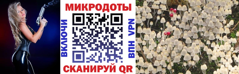 Галлюциногенные грибы мухоморы  продажа наркотиков  Воскресенск 